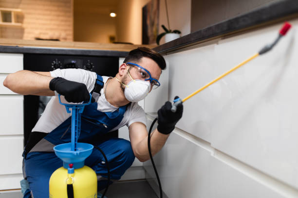 Best Best Pest Control Companies  in Pine Hills, FL
