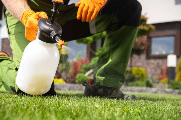 Best Wildlife Control Services  in Pine Hills, FL