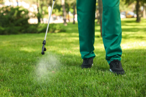 Best Wildlife Control Services  in Pine Hills, FL