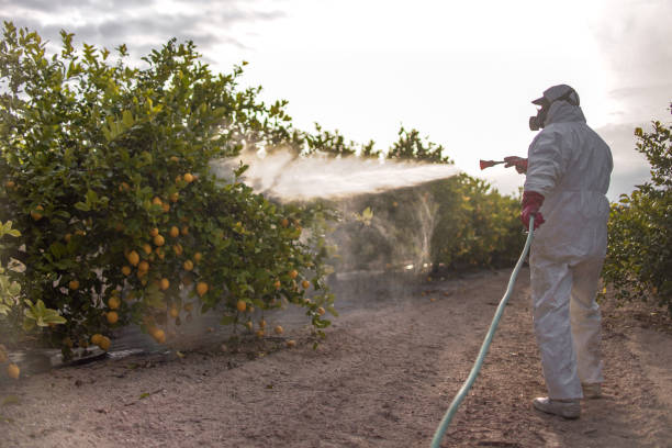 Best Flea Control Services  in Pine Hills, FL