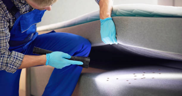 Flea Control Services in Pine Hills, FL