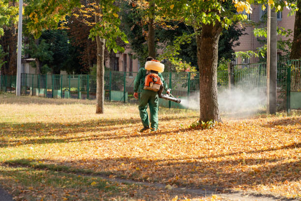 Best Wasp Removal Services  in Pine Hills, FL
