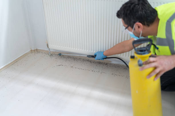 Trusted Pine Hills, FL Pest Control Experts