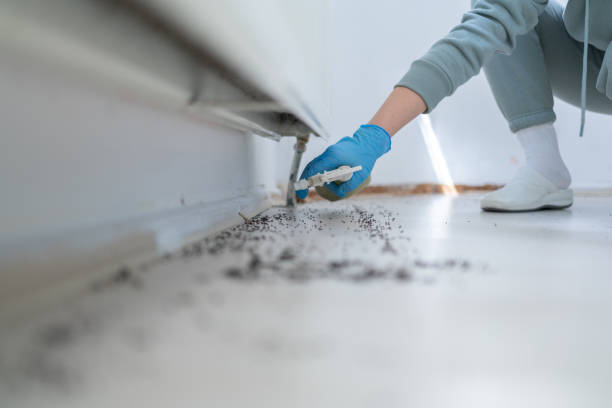 Best Pest Control Near Me  in Pine Hills, FL